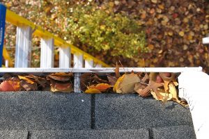 An overhead view of a clogged gutter system.